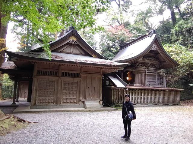 {a͑傫ȑł͂ȂAj_ӂ_