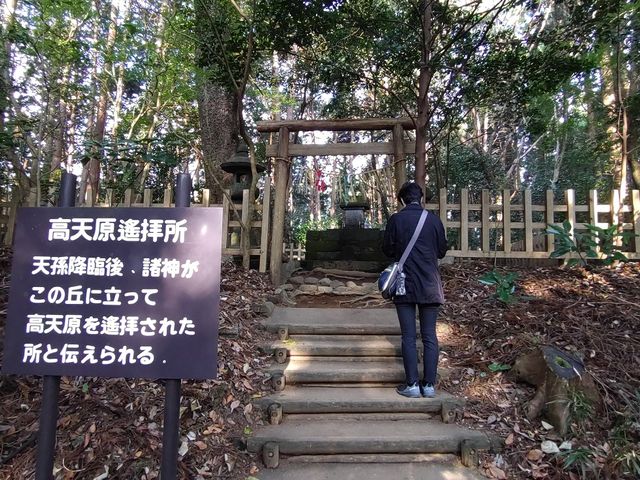 ���V���y�q���͏����ȋ��ł���_�����ӂ�_��