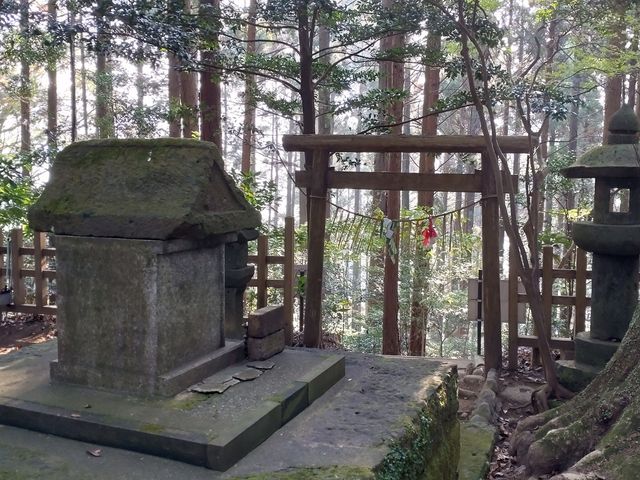 ���V���y�q���͐X�̎Ζʂ������낷�ʒu�ɂ����āA�_��I�ȏꏊ�ł���_�����ӂ�_��