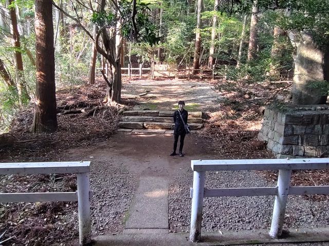 �l�c�q��͏����L������ɂȂ��Ă��āA�F���̍s�����s���Ă������Ƃ��M�킹�镵�͋C������_�����ӂ�_��