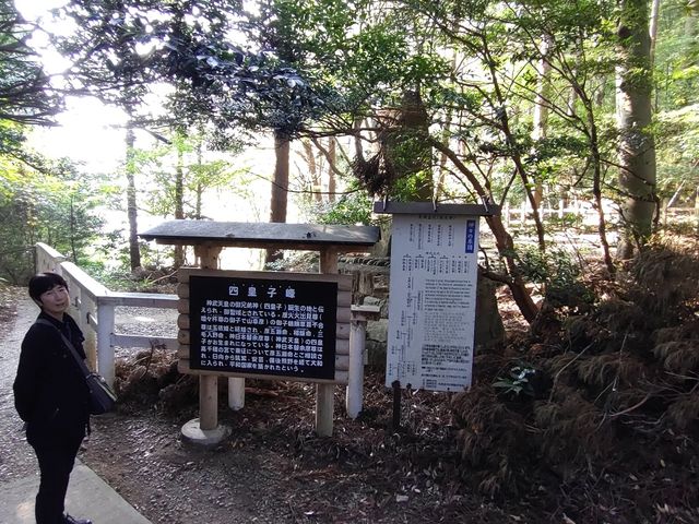 lcq̓ɐ_b̐_ľn}LĂāAX[_ӂ_