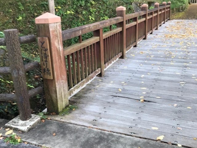 �{�ۂɍs���Ȃ��Ă��A���h�Ȉ�\���y���߂܂��B_�Ëv��隬