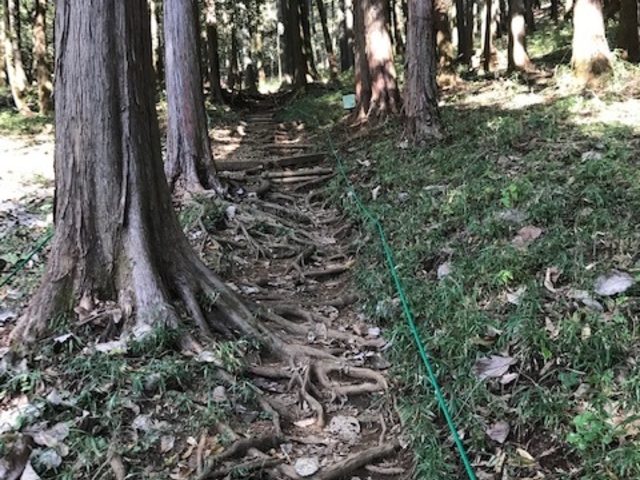 �p�[�N�Z���^�[�`����B�{�ە��ʂ͌y���o�R�ł��B_�Ëv��隬