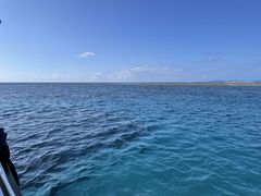 񂳂̌cǊ(P})C攼cA[X@OPGւ̓eʐ^1