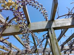 YUZ̔_K[f Rr_ւ̓eʐ^1