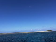 ܂₳̌cǊ(P})C攼cA[X@OPGւ̓eʐ^1