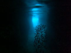 傧Ԃ̉S_Cuւ̓eʐ^2