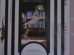 TṽC^[fBAeNւ̓eʐ^1