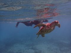 ~g̃RY~bNA[Xւ̓eʐ^1