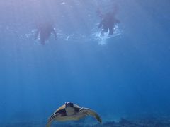 񂲂imtida{Óւ̓eʐ^1