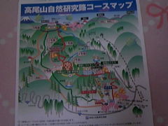 Tv̍RP[uJ[Elόtgւ̓eʐ^1