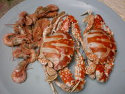 editorcom̖h䂫⑑̓eʐ^3