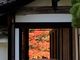 niniさんの南禅寺の紅葉への投稿写真4