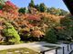 niniさんの南禅寺の紅葉への投稿写真2