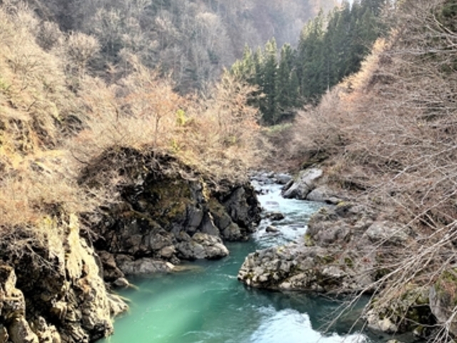 q㗬ʂGhO[Rogu[ɋPÐƌkJ_q