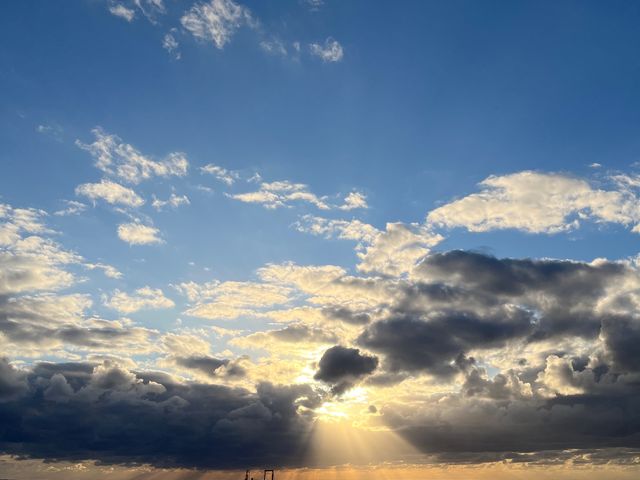 �ō��̌i�F_BBQ �邮�񂿂�