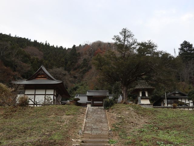 �������̏�v���̓��e�ʐ^1