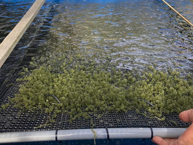 ����ȂɁA����Ă��܂����B_�C�Ԃǂ��������{�B��