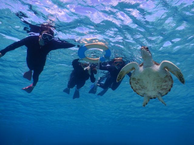 ������A�E�~�K������܂����I_SEA ENJOY