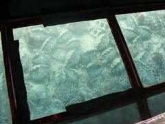 [̐약}T[rXւ̓eʐ^1