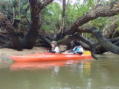 [̐\AWcA[KAGUYAւ̓eʐ^1