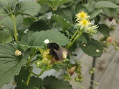 ܂肱̓cό_ւ̓eʐ^2