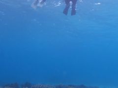 傤񂳂imtida{Óւ̓eʐ^1