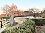 ÐhF̗ǊƗ[̋u̓eʐ^2