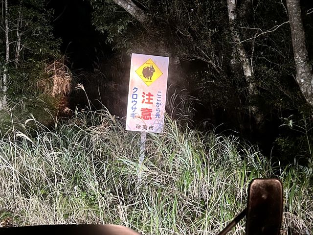 �����ł��������Ȃ��Ŕ�_�~�b�h�i�C�g�c�A�[����