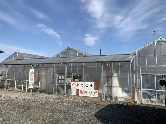 �傫�Ȃ������_���̃n�E�X�����邾���ŁA�킭�킭���܂��B���ԏ���L���̂ň��S�ł��B_�R�����x���[�Y�t�@�[�� �G�߂̍���_��