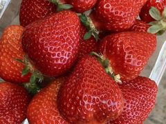 yuripon0283̂邤_ւ̓eʐ^1