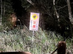 Monet̃~bhiCgcA[ւ̓eʐ^1