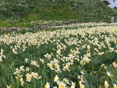 �����ڂ�����̒ܖ؍�̐���ւ̓��e�ʐ^1