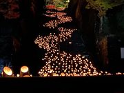 �ނ炳�񂳂�̍L���_�Ёi�啪���|�c�s�j�̓��e�ʐ^5