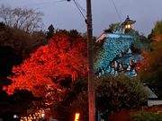 ނ炳񂳂̈i啪|csj̓eʐ^1