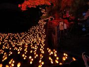 ނ炳񂳂̈i啪|csj̓eʐ^2