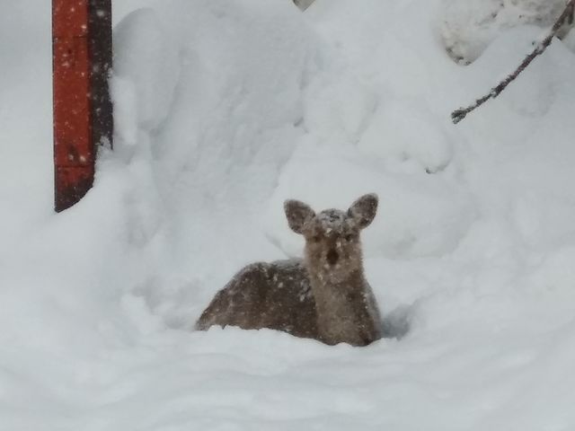���Ȃ�߂Â��Ă������Ȃ��ŁA���낢�ł܂����B_�w�_������