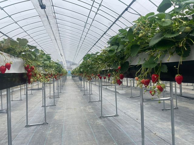 �J�̓��ł��C������Ȃ�!_�y�\���z�����������_��