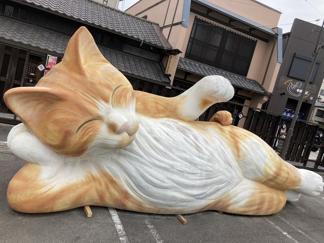 Ƃ񂳂̏L~[WA̓eʐ^5