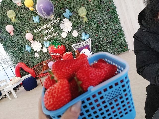 �g�ق��ؔ������������ł���
���������̎��ԊO�Ŏʐ^�B���ꏊ��݂��Ă���Ă炢���̂ɁA�A�A_�X�g���x���[�p�[�N�݂ӂ�