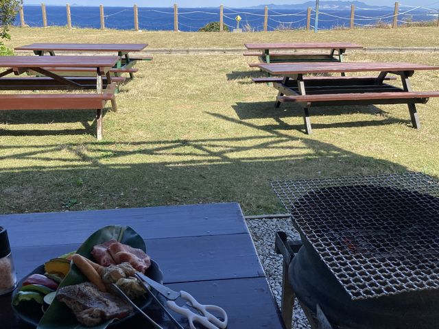 �A�O�[�ؔ������������ł�_�I�[�V�����o�[�x�L���[