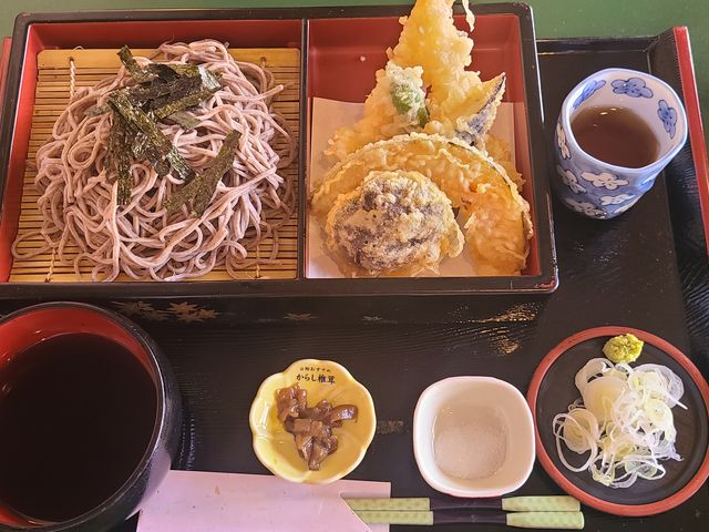 ���Ă���/�V���邻��
�T�C�R�[_�l�G���i���̏h�ԏ������j