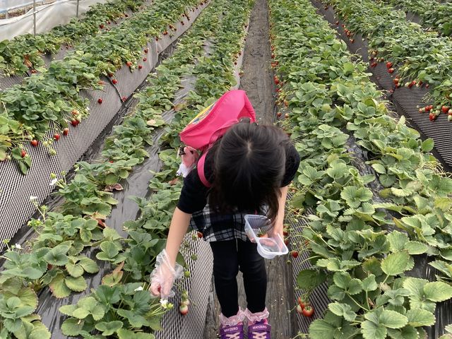 �q���B�����₷�������ł����I_�����_��