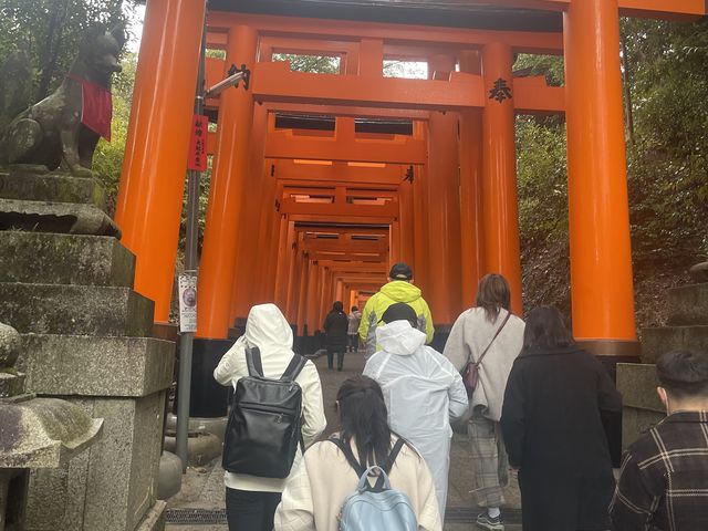 �c�A�[�̓���_UraUraTour���s