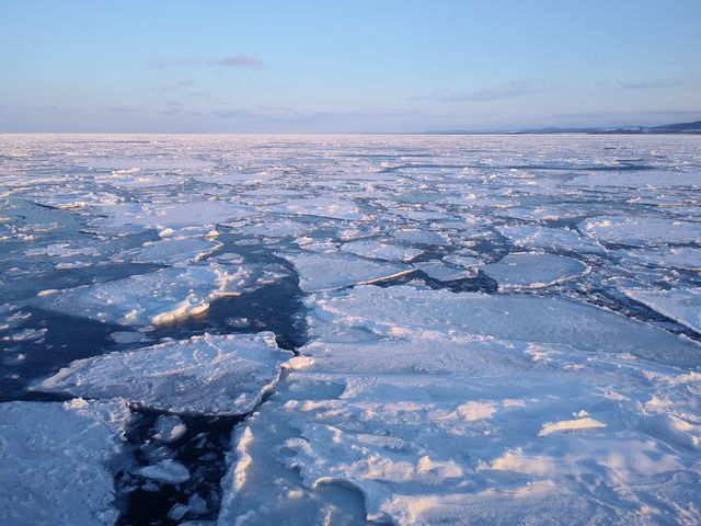 ���n������̗��X_���X�ӕX�D �K�����R���U