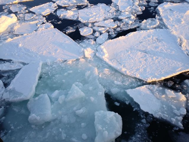 �X���ӂ��Ȃ���i�ރK�����R���A���͂�����܂��B_���X�ӕX�D �K�����R���U