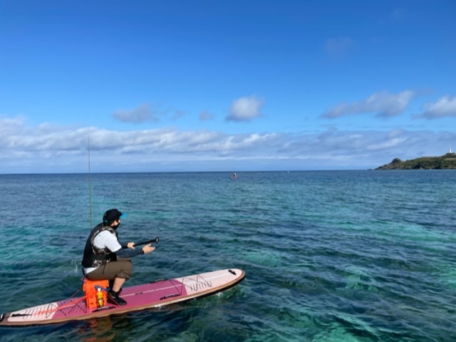 �C���Y��ł���ȏ��Œނ肪�ł��čō�_DSF�Ί_��