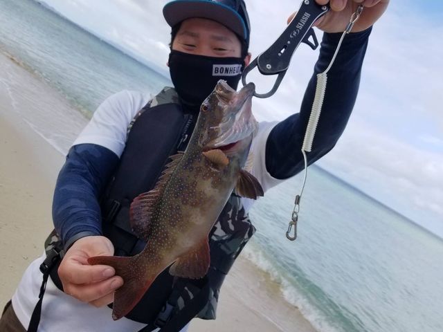 ������L�x_DSF�Ί_��