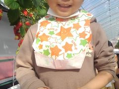 ~Y^R̃AOX^[XyVւ̓eʐ^2