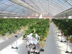 ~Y^R̃AOX^[XyVւ̓eʐ^3